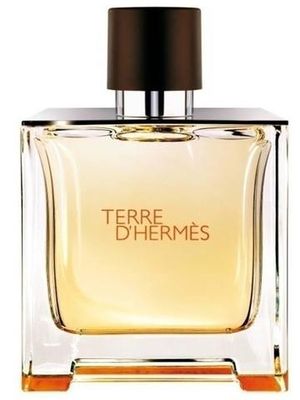 Hermes Terre D'Hermes Eau De Parfum