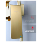 Душевая система Raglo R02.24.23, золото