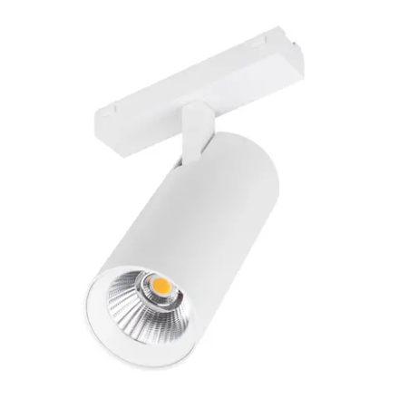 Светильник MAG-VIBE-SPOT-R55-18W Day4000 (WH, 24 deg, 48V) (Arlight, IP20 Металл, 5 лет) 044480