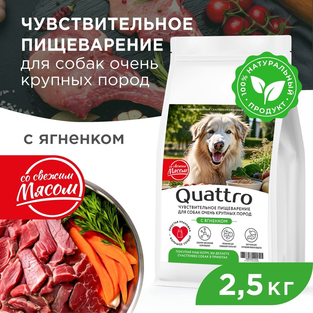 Корм сухой для взрослых собак очень крупных пород, премиум полнорационный комплекс, чувствительное пищеварение, с ягненком, 2,5 кг, QUATTRO