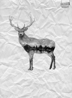 GRAYSCALE 12