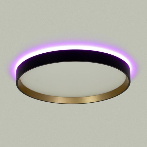 Светильник с пультом Citilux ETALON CL750321R