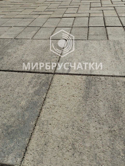 Современник, дом на Некрасова, г. Новосибирск