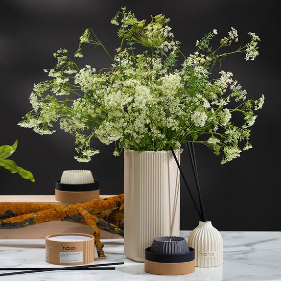 Диффузор ароматический secret santa из коллекции edge, 200 мл, бежевый