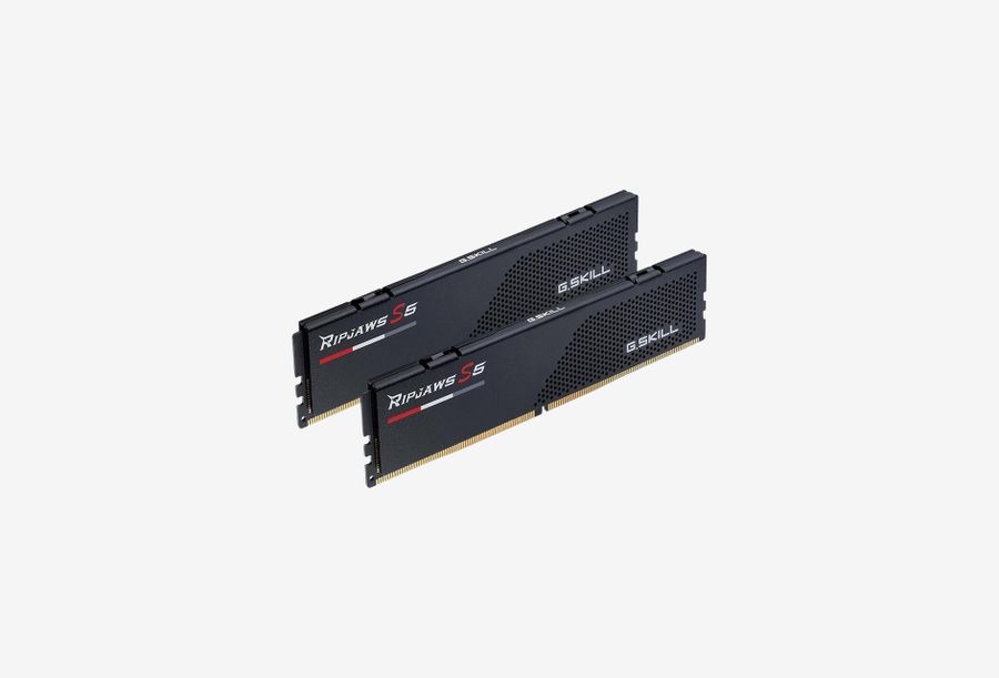 F5-6000J3636F16GX2-RS5K_0226605105003