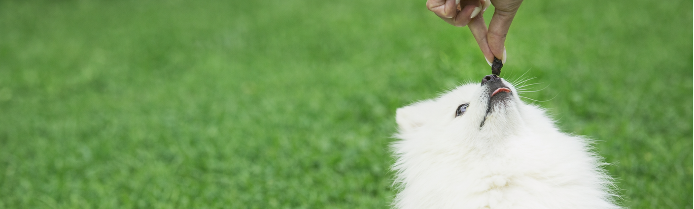 Как приобрести товар?