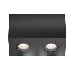 Потолочный светильник Maytoni   C017CL-02B