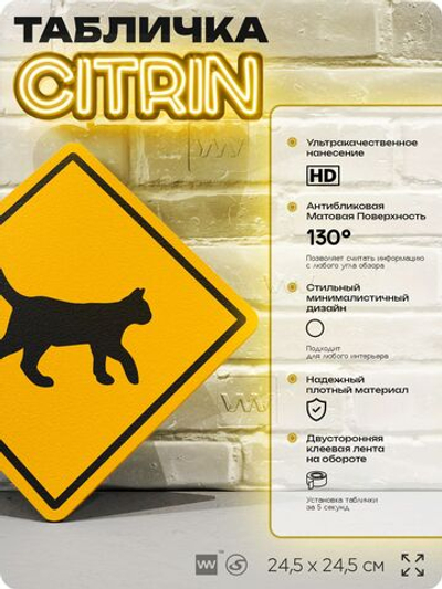 Табличка прикольная "Осторожно, кошка" на дверь и стену, информационная и предупреждающая, декоративный знак, 24,5х24,5 см, пластиковая, Айдентика Технолоджи