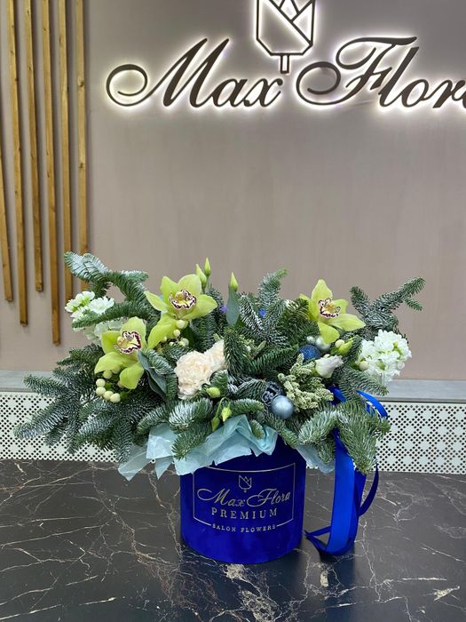 Зимняя НГ-66 Зимняя НГ-66