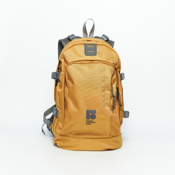 Рюкзак DNMC золотой