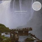Виниловая пластинка Springintgut ‎– Where We Need No Map LP