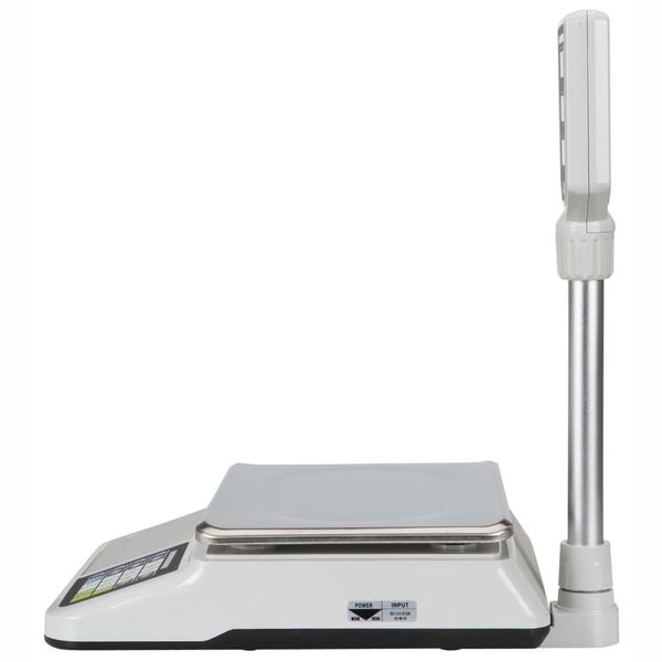 Весы торговые настольные CAS PR-30P, RS232/USB (опция), 30кг, 5/10гр, 320x210, с поверкой, со стойкой