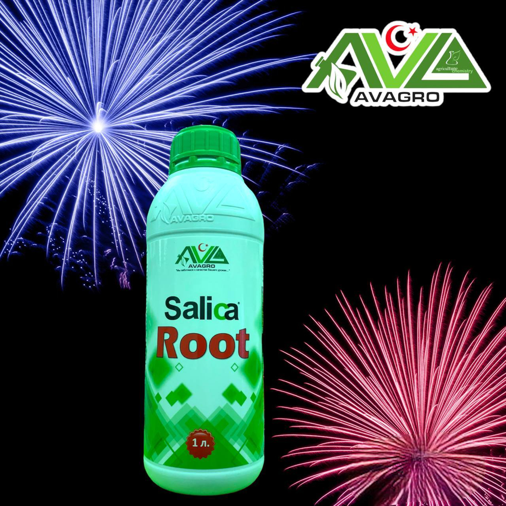 salica root 1l