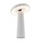 Аккумуляторный светильник Гриб / Mushroom Freya fr6109tl-l4w