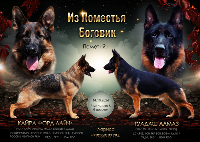 Помет "Я"