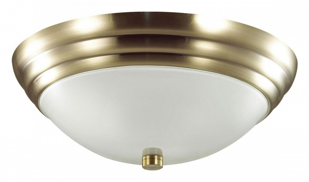 Накладной светильник Lumion 5262/2C