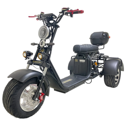 Электроскутер трехколесный CITYCOCO GT X11 PRO TRIKE 2024 Матовый черный