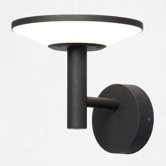 Уличный настенный светильник Citilux Dorn CLU05W