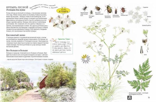 Софи в мире цветов