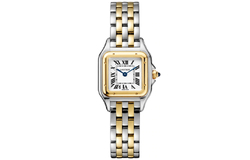 Cartier pre-owned Panthere 22mm