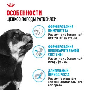 Сухой корм Royal Canin Rottweiler Puppy для щенков породы Ротвейлер до 18 месяцев
