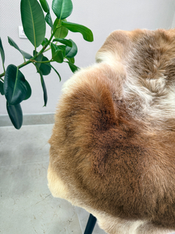 Шкура коврик меховой прикроватный овчина, 120х65 см.