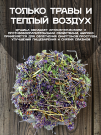 Душица (трава)