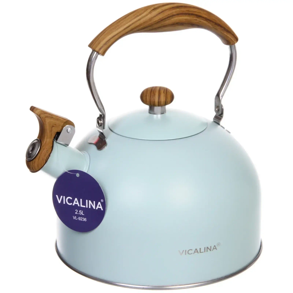 Чайник из нержавеющей стали 2,5л «Vicalina» Мирель мятный VL-9236