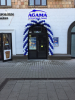 Арка из шаров Ольга