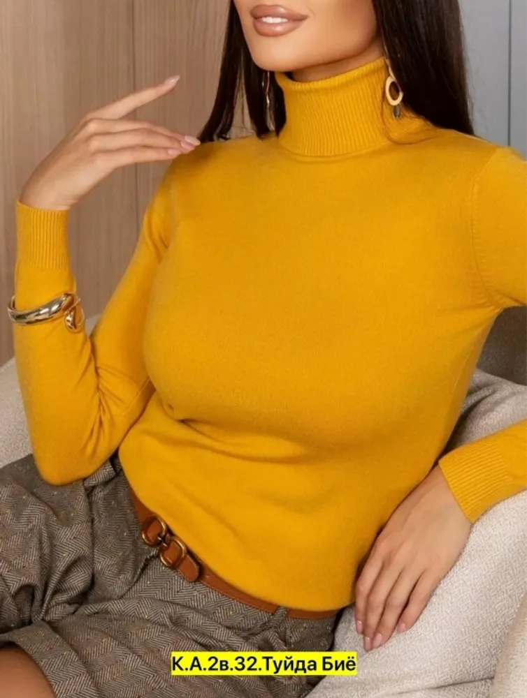 Водолазка 2571594 Fabrika