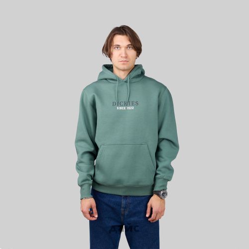 Толстовка мужская Dickies Park Hoodie артикул:DK0A4YEHH151 - купить в магазине Дайс