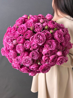 Букет из 31 кустовой пионовидной розы