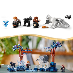 LEGO Гарри Поттер - Запретный лес: Волшебные существа 76432 / артикул   76432  / GTIN 5702017599502