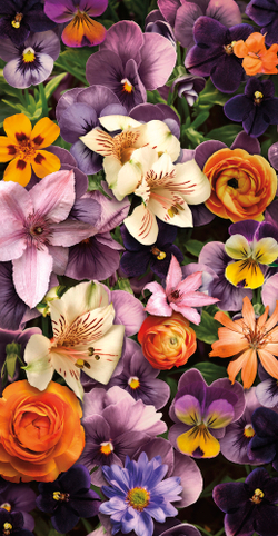 Коллекция Flower Dreams