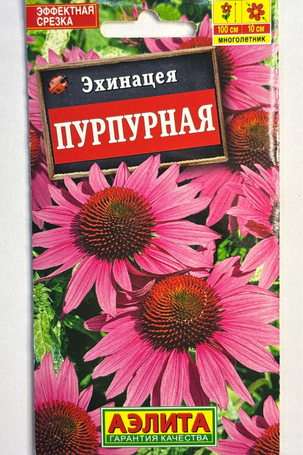 Эхинацея пурпурная (Рудбекия пурпурная) СМЦ-670