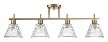 Светильник на штанге Lumion Vivian 8188/4C
