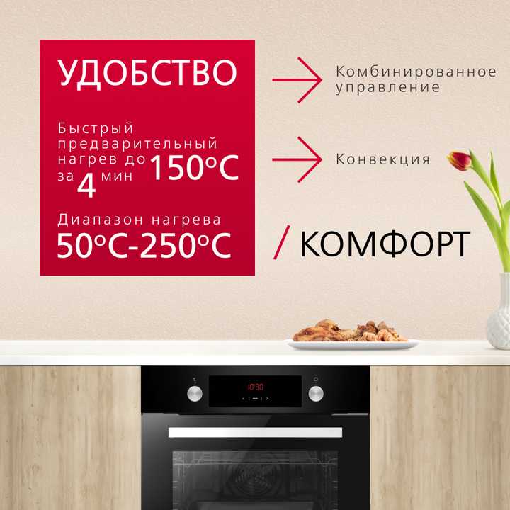 Духовой шкаф Hansa BOES68411