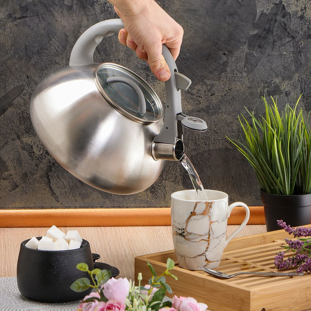 Чайник нерж, 3 л, свист, мат, логотип меняет цвет, ручк бакелит, Daniks, DSC-8801