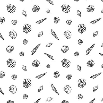 Маленькие ракушки на белом фоне