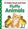 Baby Touch and Feel (Board Book)