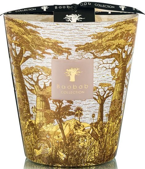 Bounkani, свеча MAX 16 Sacred Trees collection, Baobab Collection