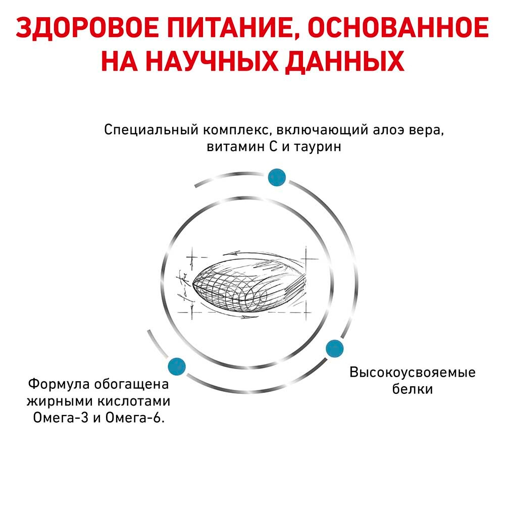 Royal Canin VET Skin Support - диета для собак, старадающих дерматозом и выпадением шерсти