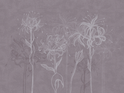 Коллекция SUMMERTIME