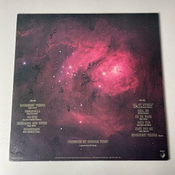Винтажная виниловая пластинка LP Ringo Starr Goodnight Vienna (USA 1974)