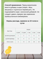 Здравур Витаминная добавка для цыплят утят 250гр *2шт