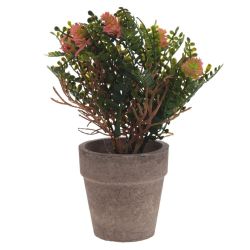 GAEM Цветочная композиция, L9 W9 H18 см