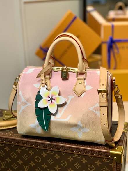 Louis Vuitton Speedy 25