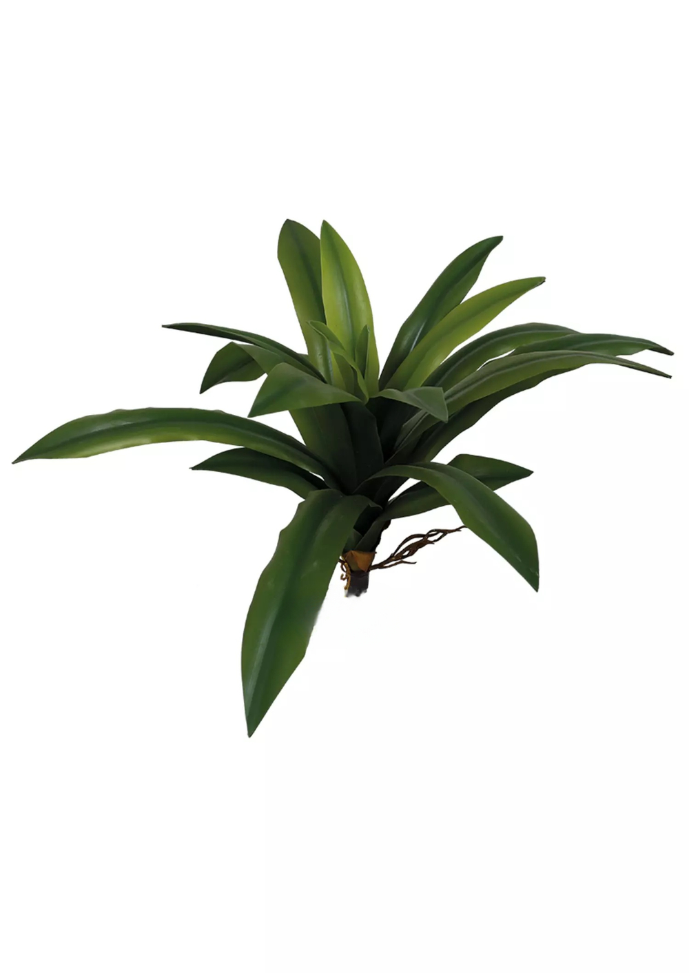 Куст большой с листьями