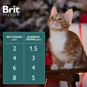 Пауч Brit Premium для взрослых кошек, утка в соусе