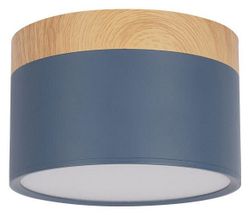 Накладной светильник Loft it Grape 10162 Blue